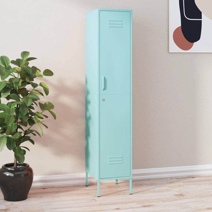 Amazon.com: loibinfen Metal Single Door Locker Storage